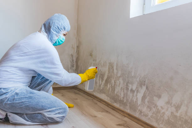 Hvac And Air Duct Mold Remediation inspection of HVAC system in Martinsville